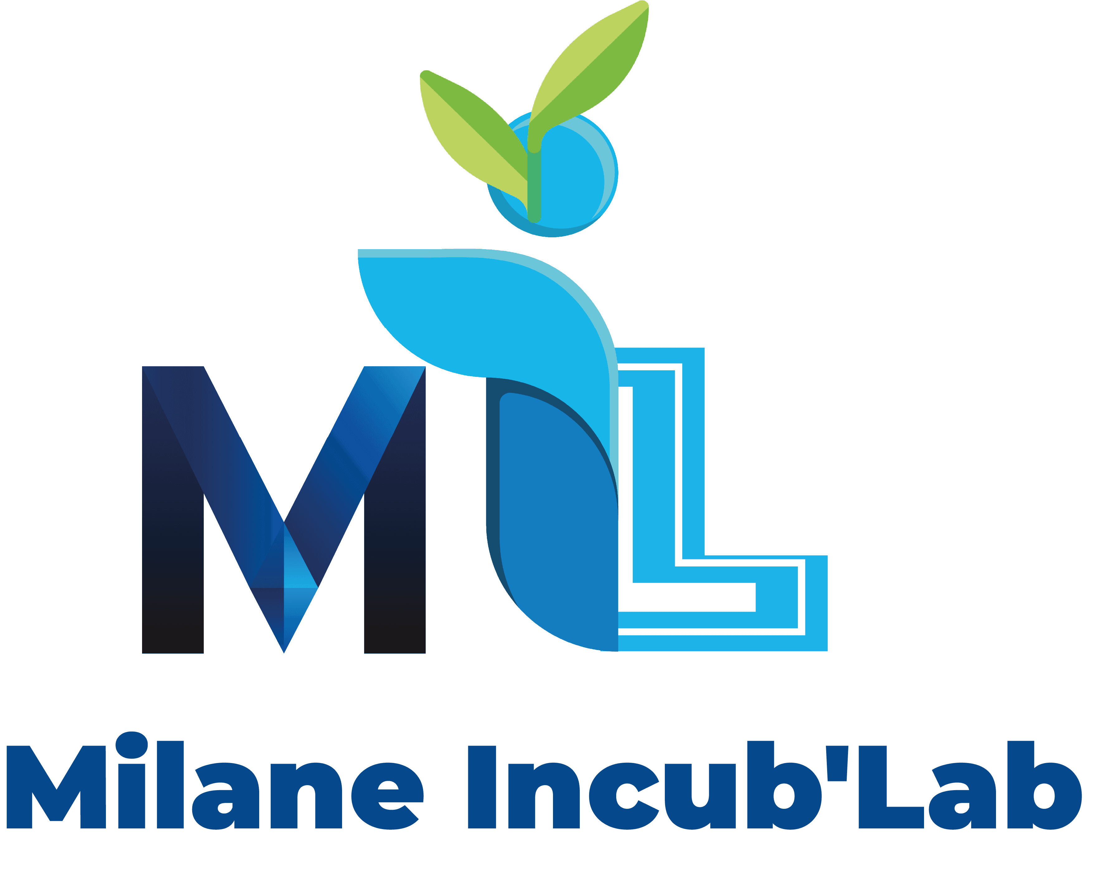 Technique Officiel Pays 2